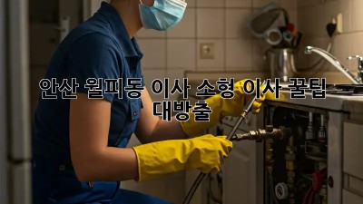 안산 월피동 이사🚚 소형 이사 꿀팁🍯 대방출!